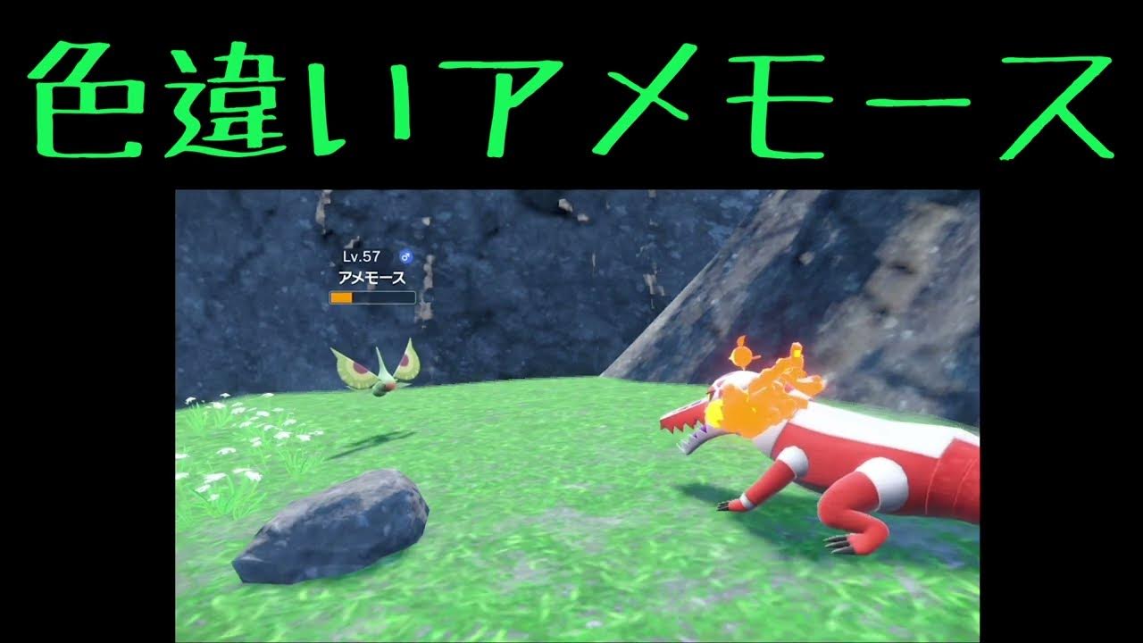 色違いアメモースでた Youtube 色違いアメモースでた Youtube