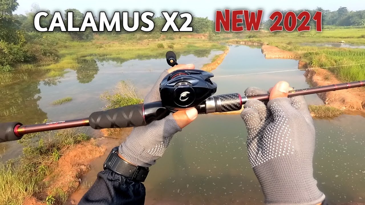 Review Calamus x2 YouTube