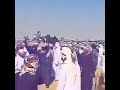 مزاين المناصير