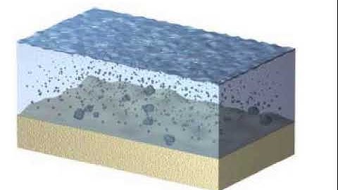 Sediment Transport Animation
