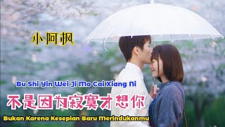 小阿枫 - 不是因为寂寞才想你 Bu Shi Yin Wei Ji Mo Cai Xiang Ni 【Bukan Karena Kesepian Baru Merindukanmu】