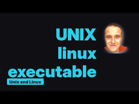 Linux executable fails with "File not found" even though the file is there and in PATH