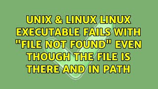 Linux executable fails with File not found even though the file is there and in PATH