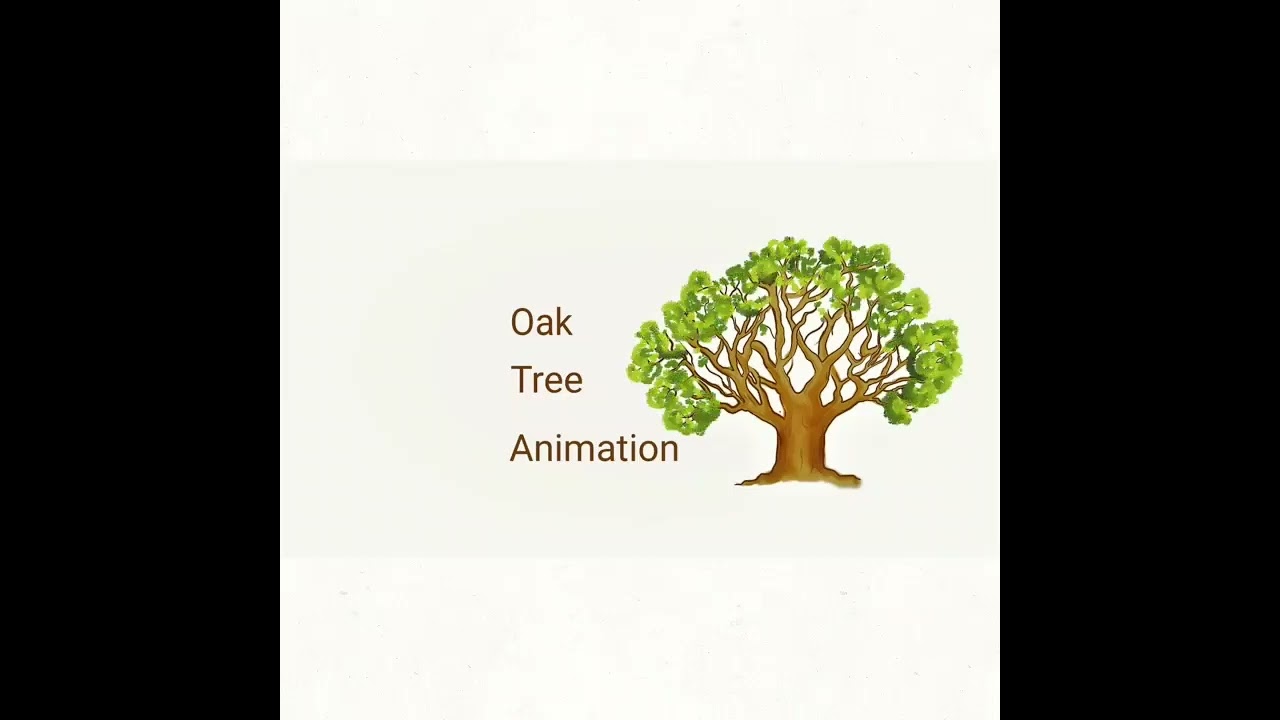 2d Hand drawn frame by frame Traditional computer animation/ UDesign Studio