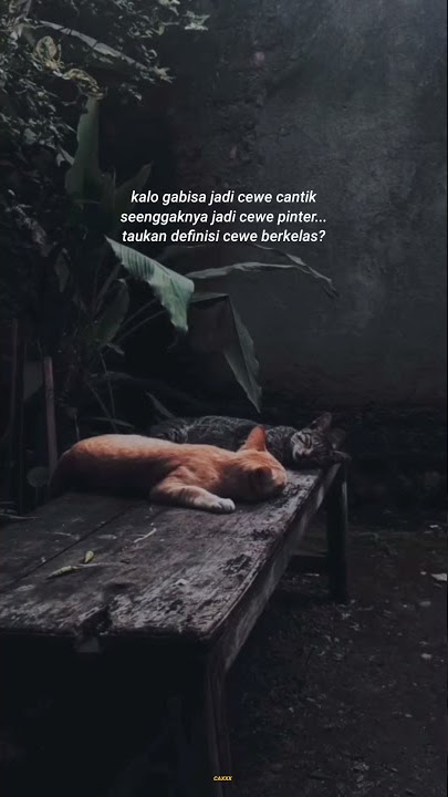 Beta Janji Beta Jaga / storywa