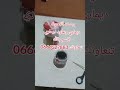 وصفة الفوحوله ديماري الموطور اقسم بالله تنعاونك علاج طبيعي علاج بالاعشاب وصفة الفوحوله ديماري الموطور اقسم بالله تنعاونك علاج طبيعي علاج بالاعشاب