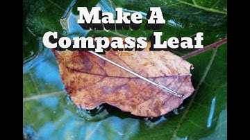 Survival Navigation: Using a Leaf as a Compass in the Wild