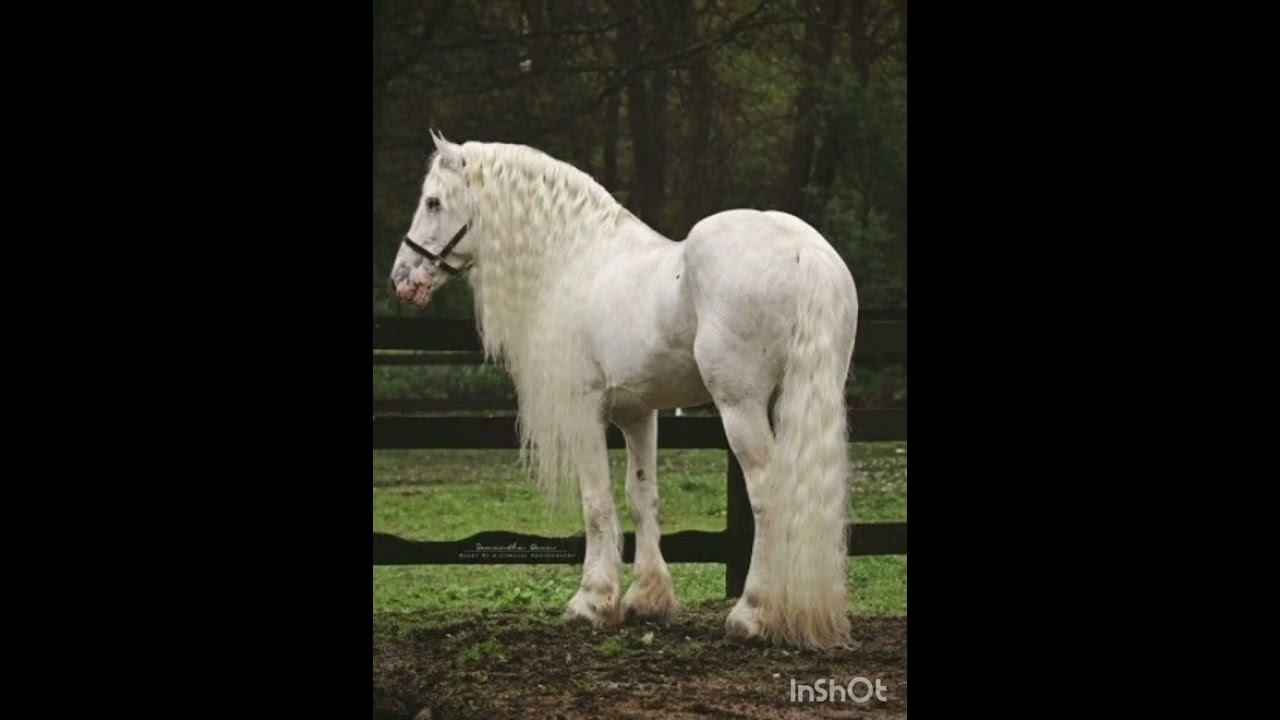 ловари оглы 2025 год