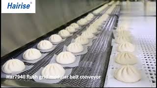 who is the best supplier of flush grid modular belt conveyor manufacturers? screenshot 5
