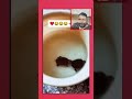 فرطت ضحك