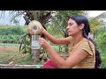 Brazilian Cleide harvests coconuts for traditional sweets - ब्राजीलियाई नारियल पानी पॉप्सिकल