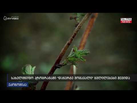 სახელმწიფო პროგრამაში \u0026#039;დანერგე მომავალი\u0026#039; ცვლილებები შევიდა