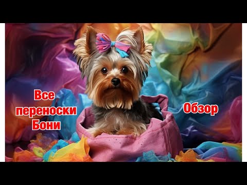 Все переноски моей собаки // Обзор переносок для самолёта и для прогулок