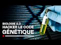 Les promesses de ladn synthtique  hacker le code gntique  biologie 20  documentaire  ctb
