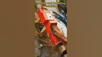 crushing and kneading machine