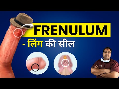 Frenulum Breve ल ग क स ल 