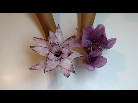 How to make wafer paper flowers