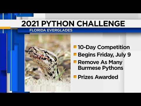 DeSantis kicks off 2021 Python Challenge