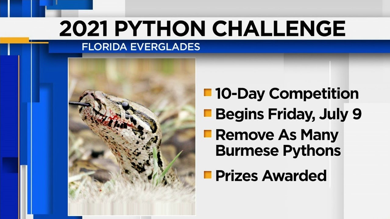 DeSantis kicks off 2021 Python Challenge