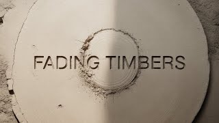 Archive for Fading Timbers — Velvet Sync | Experimental Ambient (Official Release) screenshot 5