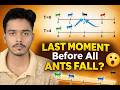 Last Moment Before All Ants Fall | Genius Trick You Didn’t Expect 🐜💡 | GFG POTD