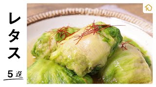 【レタス大量消費に】クラシルで人気のレタスレシピ 5選｜クラシル