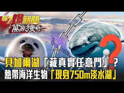 俄國貝加爾湖「藏真實版任意門』！？熱帶海洋生物「現身淡水湖」750m底下冒神祕通道？！【57爆新聞 萬象搜奇】 @57ETFN