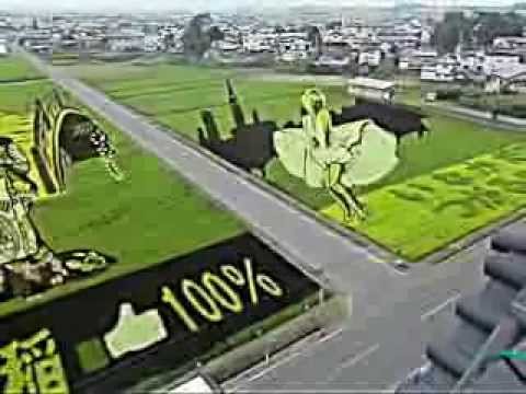 青森県田舎館村田んぼアート 2013年