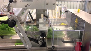 Emrich - PFM Hurricane Servo Horizontal Flow Wrapper - Cos Lettuce Pairs