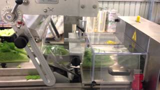 Emrich - PFM Hurricane Servo Horizontal Flow Wrapper - Cos Lettuce Pairs