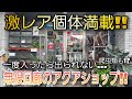 無限回廊⁉一度入ったら出られない激レア大量のアクアショップ‼ aquarium アクアリウム 金魚 大型魚 熱帯魚 グッピー シュリンプ 水草 爬虫類