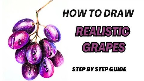 How to Draw Realistic Grapes | Realistic Colour Pencil Drawing #grape #artbyphilomela 