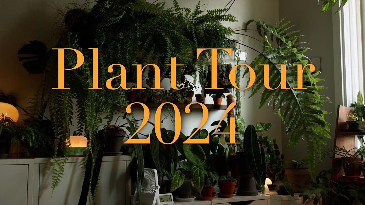 Экскурсия по растениям за первую половину 2024 года | Planterium | Знакомство с растениями | Сове...