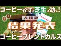 【一ヶ月検証】コーヒーかす＆微生物で芝生土壌改良（検証結果発表！）