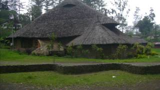 Negiso - Tropicals of  Goroka