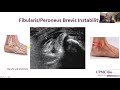 Dynamic MSK Ultrasound Of The Ankle By Dr Daniel Lueders Of The University Of Pittsburgh 