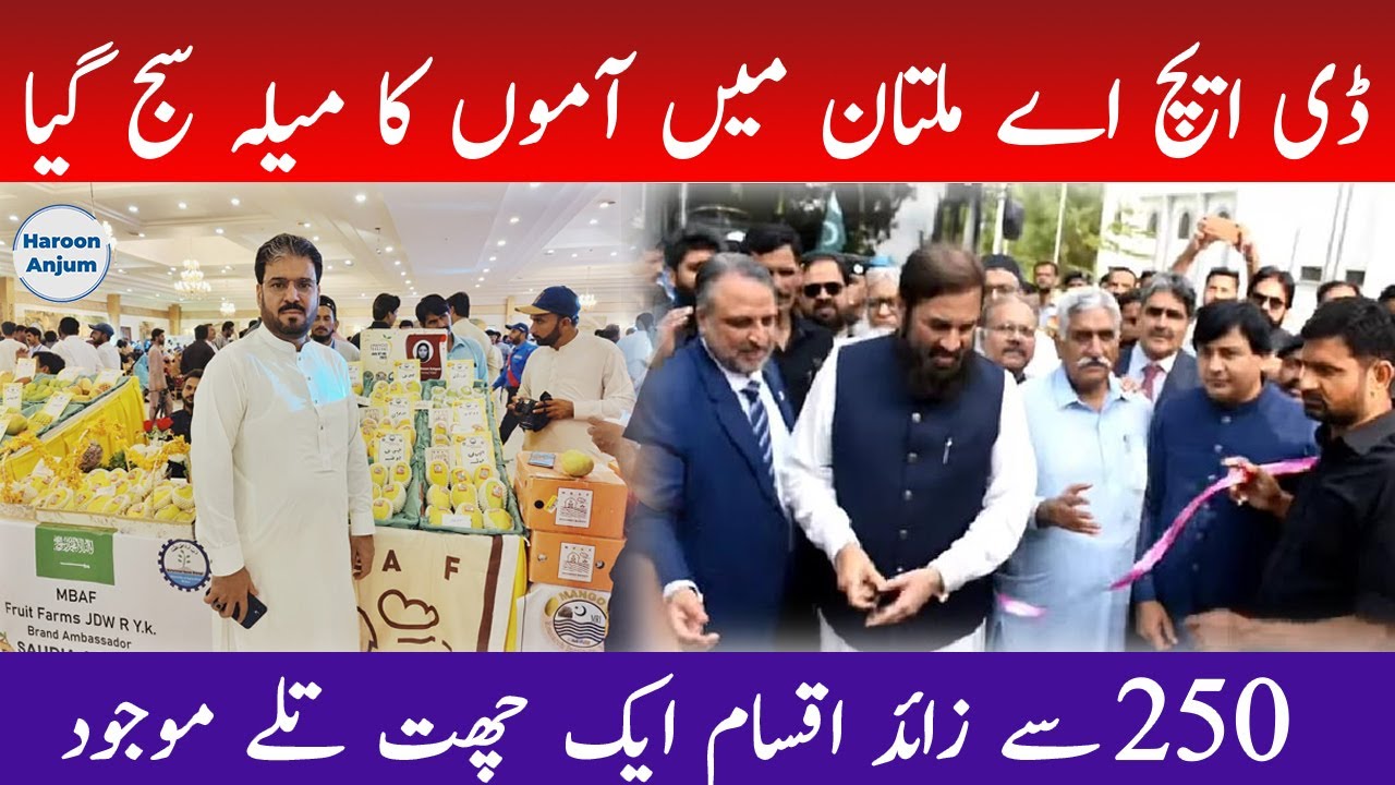 DHA Multan Mango Festival 2023 - YouTube