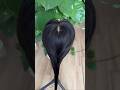 横12ｃｍ縦13ｃｍ　広範囲カバー　部分ウィッグ　ヘアーピース