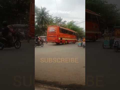 Tampak Bus Pariwisata: Lebih dari Sekadar Kendaraan, Sebuah Ekspresi Gaya dan Kenyamanan