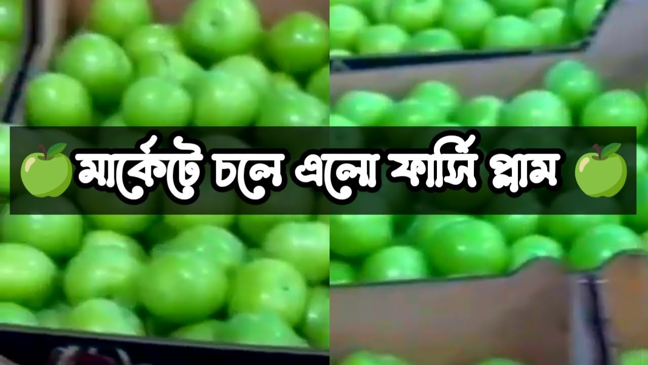 সবুজ টক ফারসি প্লাম। Green sour Persian plum.