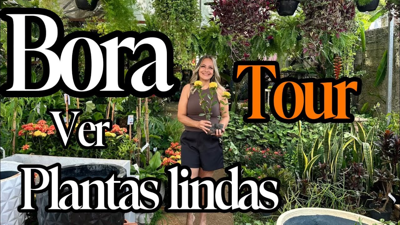 TOUR NO GARDEN!!!  PARAISO VERDE, FLORES LINDAS , RARAS E MUITO COLORIDAS  !!!🪴🌻🌸🌹🌺🌷💐🌳
