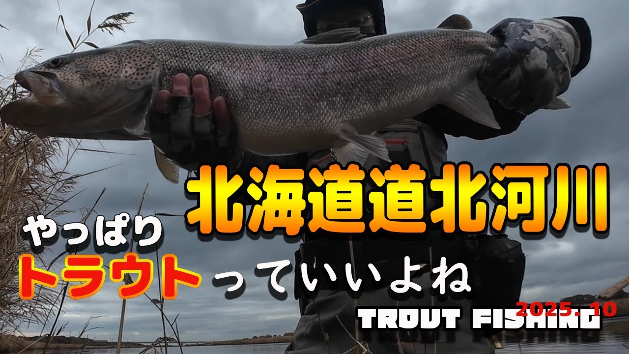 北海道道北河川　2025秋イトウをイトウを狙いに行ってきました。Fishing in Japan for the Elusive Ito – A Rare Native Monster 