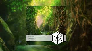 【Progressive House】Skyhunter - Secret Place (Original Mix)