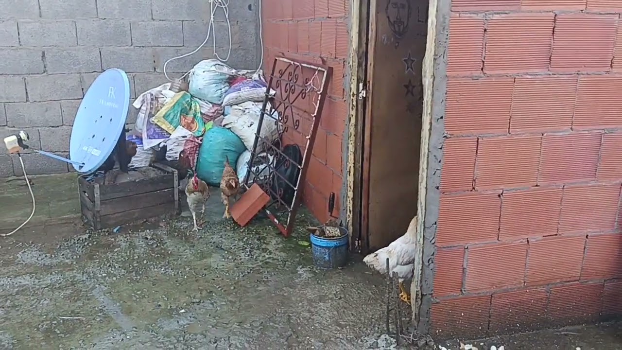 السلام عليكم خوت مشيت عند صاحبتي وشتات تبارك الله وما تنساوش ديروا لايك ومتابعه الله يسهل عليكم