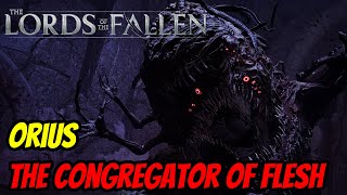 The Lords of the Fallen | Boss Fight - Orius, The Congregator of Flesh