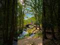 Peace and beauty