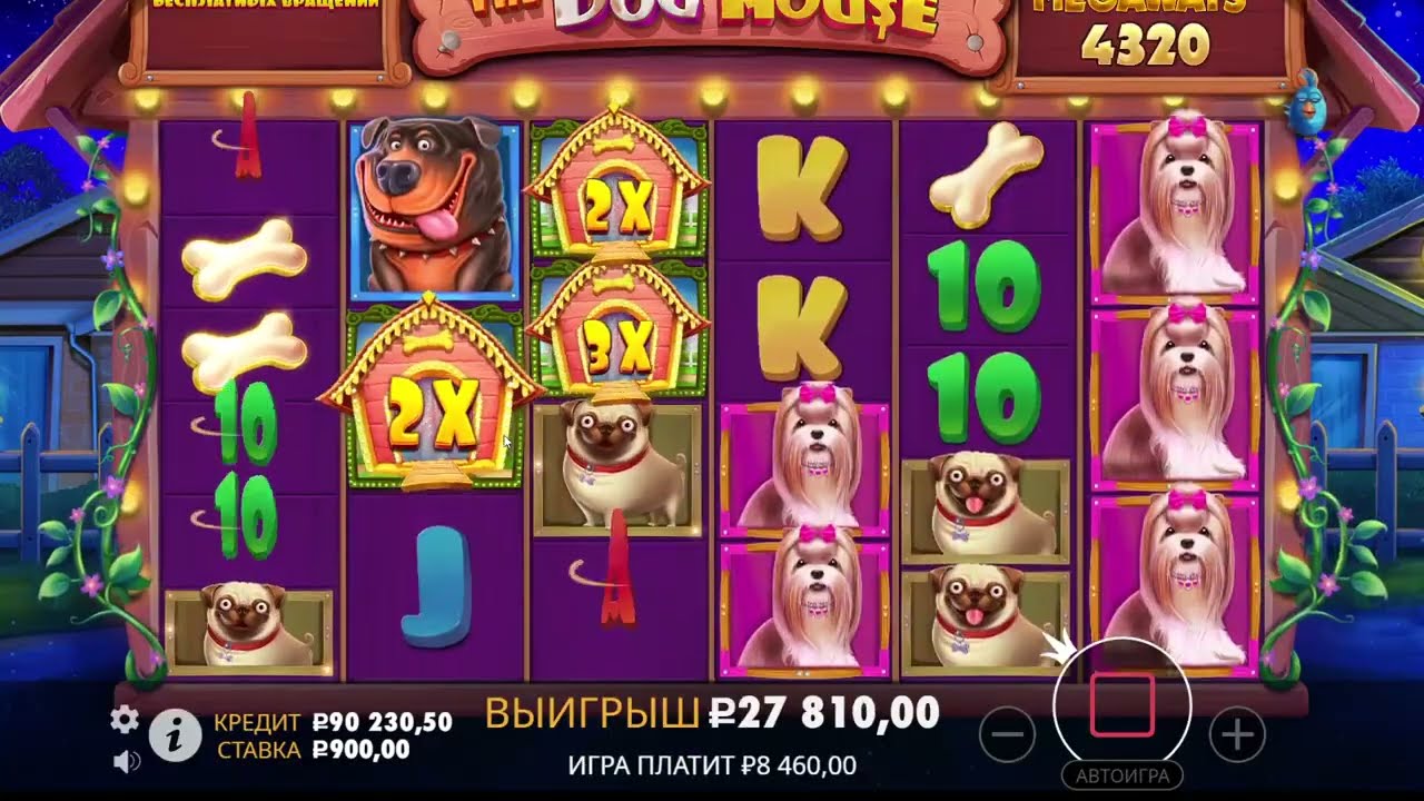 DOG HOUSE MEGAWAYS МЕГА ЗАНОС