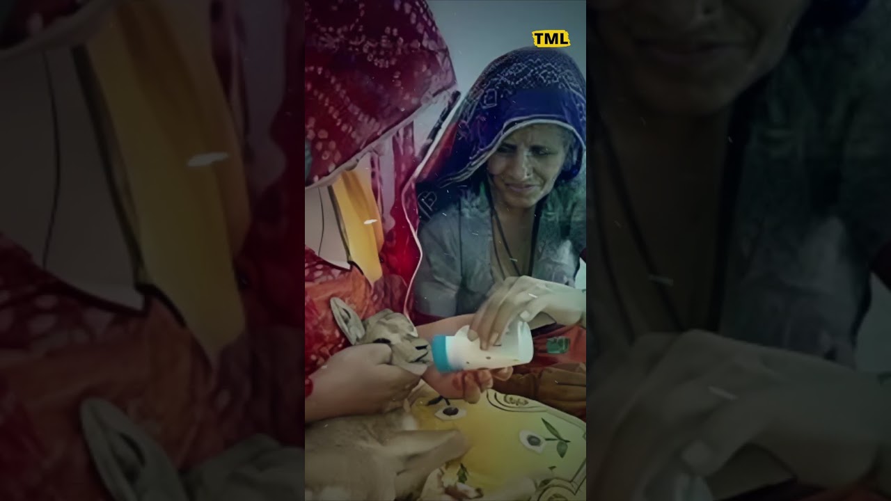 Real History of Bishnoi Community | Shocking 