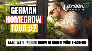 TOURETTE, GROW TENT & 1440 Watts! 🔥 Domi's XXL Indoor Grow Setup🪴
