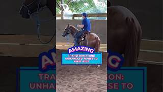 Witness The Transformation: Unhandled Horse to First Ride! | The Horse Guru-Michael Gascon
💥Witness The Transformation: Unhandled Horse to First Ride!
Be as stable as you can for your green horse.
🐎Want Help With Your Horse? Comment Or DM Us The Word HELP To Get Started!
#horsetraining #horse #equestrian #horsetrainer #trainingvideos #horsevideo #traininghorses #horses #horsehelp #shorts Witness The Transformation: Unhandled Horse to First Ride! | The Horse Guru-Michael Gascon
